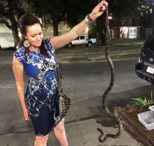 Trapper Suzy catches a rat snake in Uptown New Orleans.